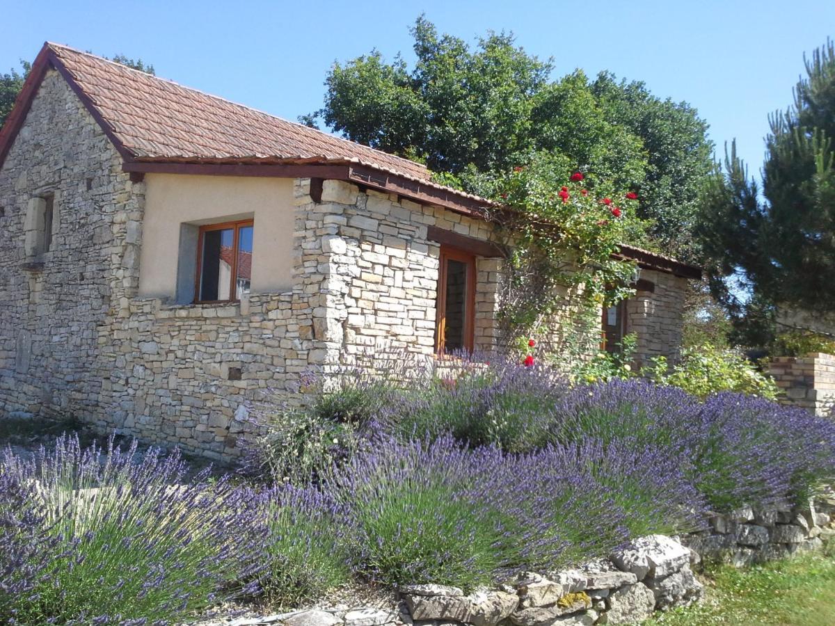 فيلا Le Hameau Des Cardenals Salviac المظهر الخارجي الصورة